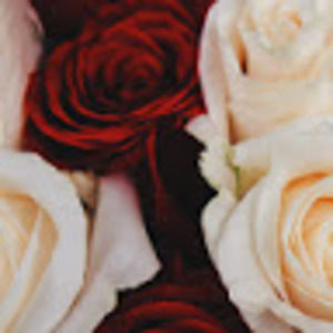 Meet your Posher, Randi-lee